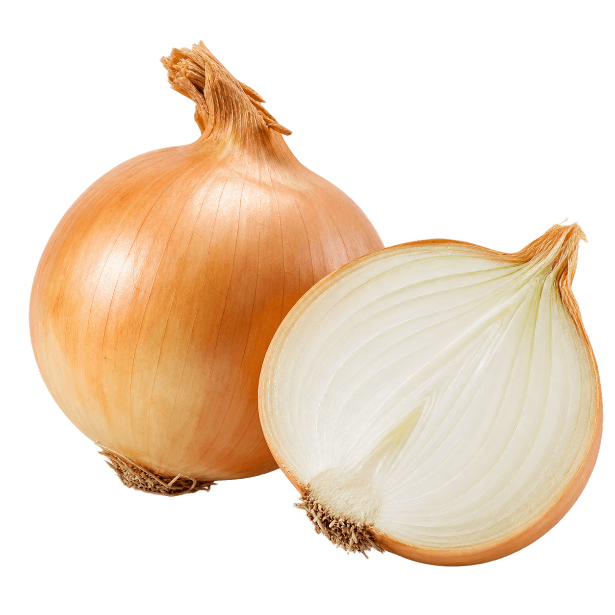 Onion