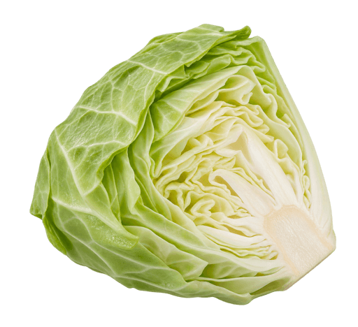 Cabbage